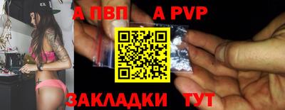 тгк Кингисепп