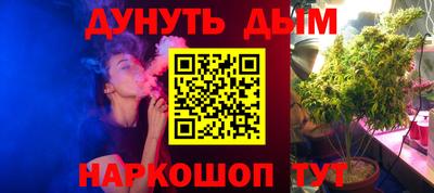 тгк Кингисепп