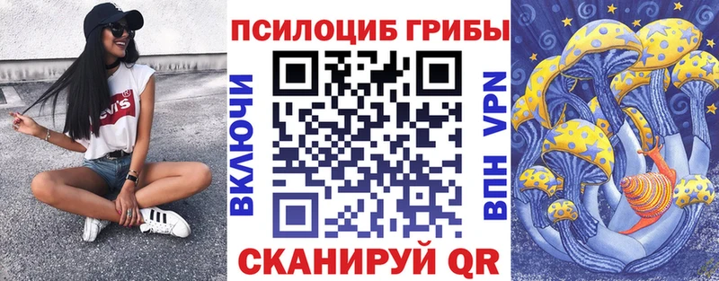 Псилоцибиновые грибы Cubensis  Красноуфимск 